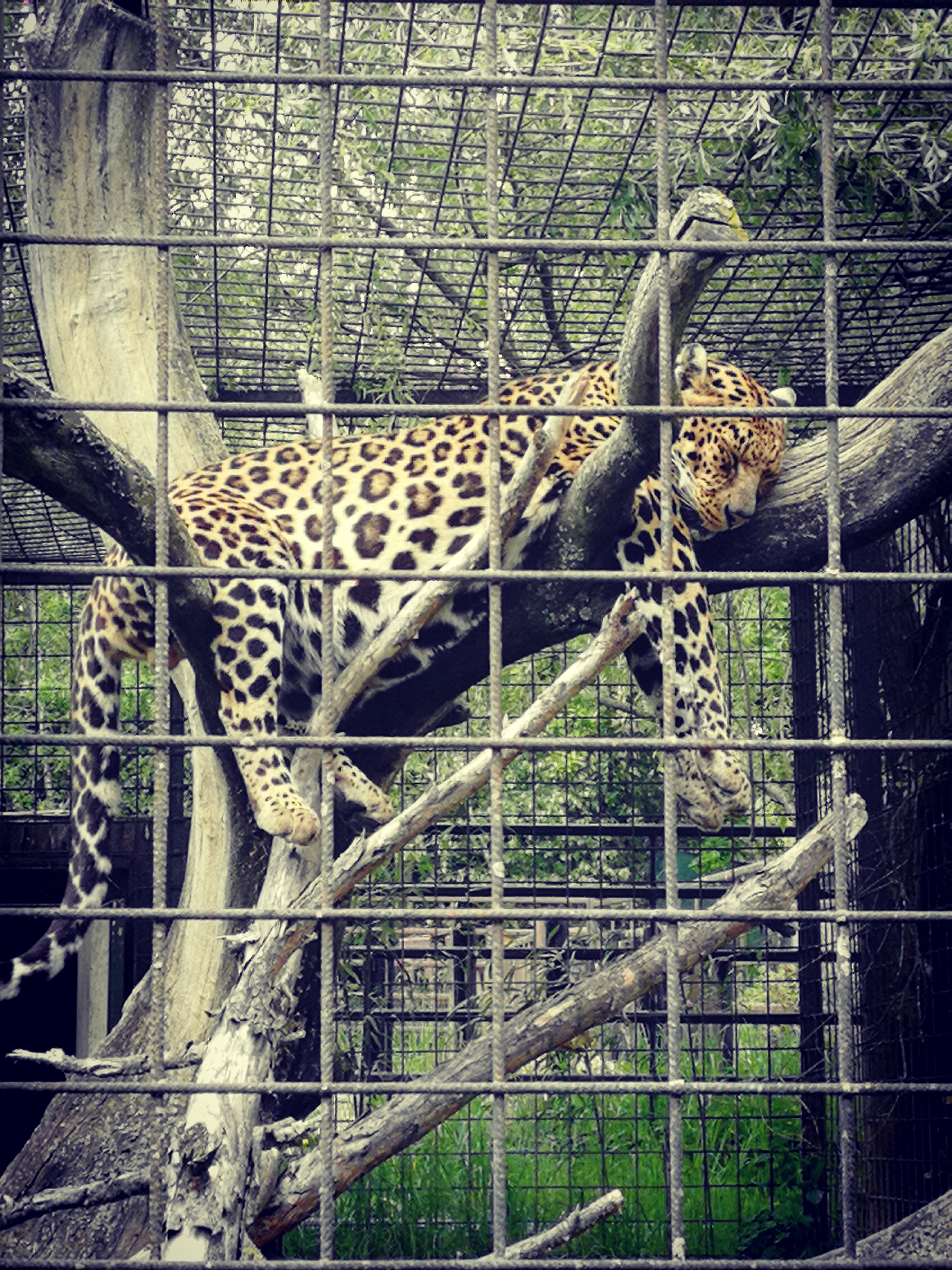 PLZEŇ - ZOO + DINOPARK