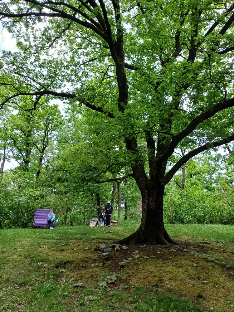 AMETYSTOVÝ SVĚT + HORN + ROSENBURG